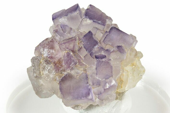 Purple Fluorite Crystal Cluster - Chiapas, Mexico #355917